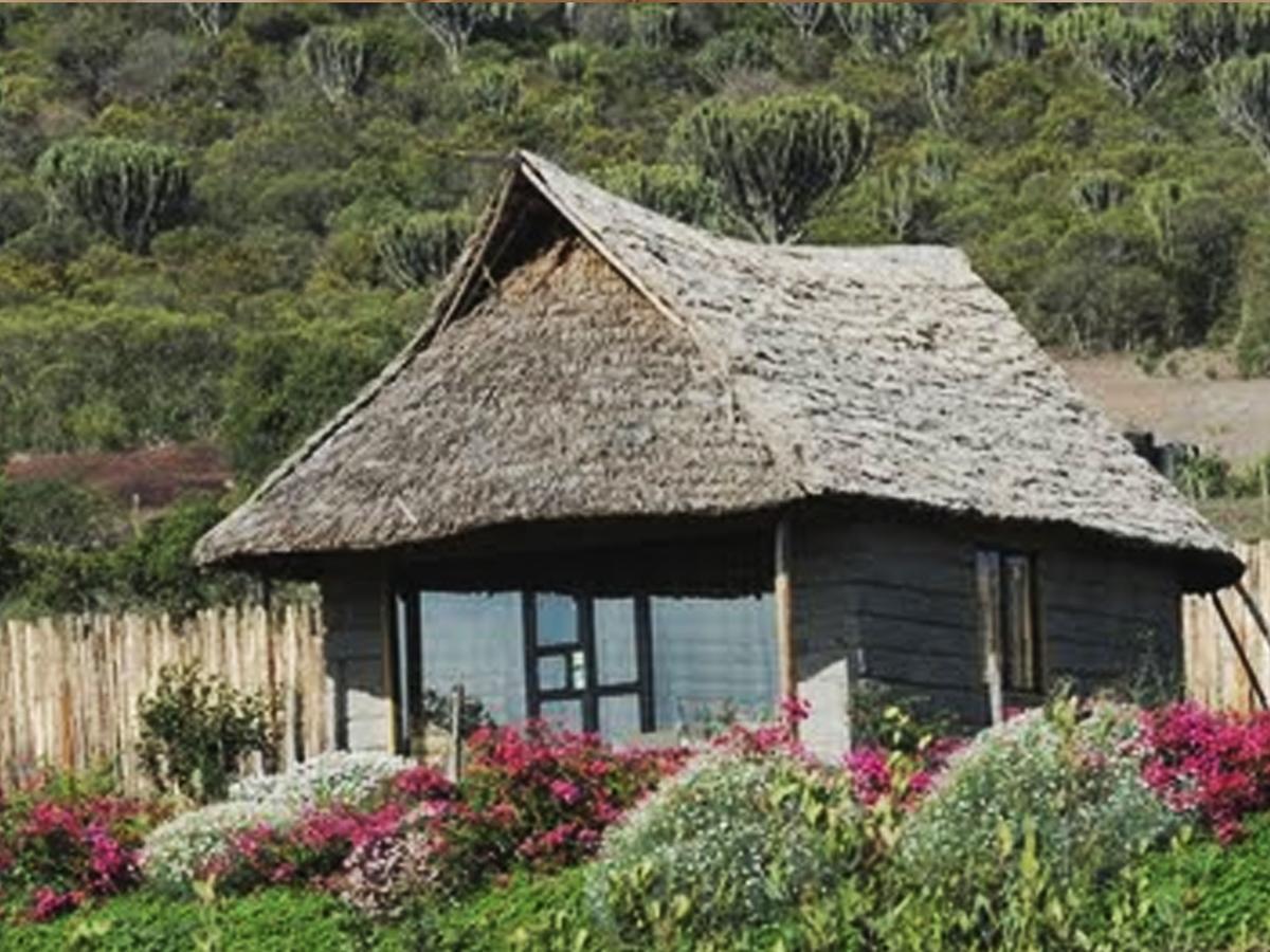 Rhino Watch Safarilodge Mweiga Cameră foto
